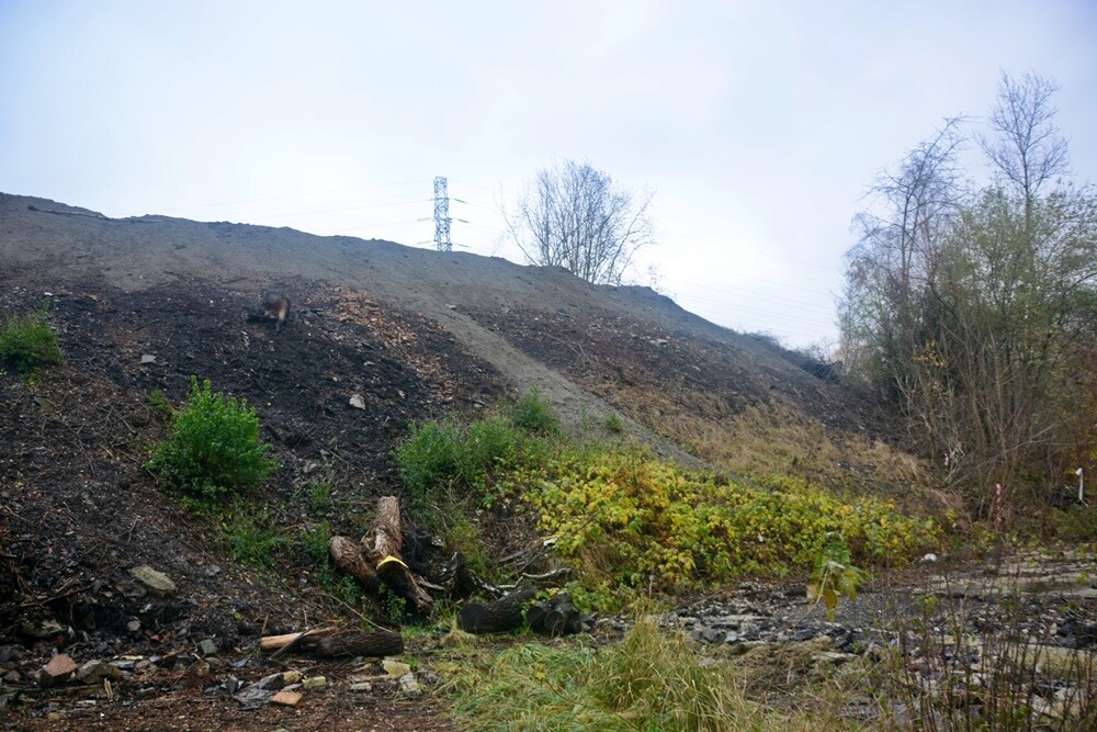 Płonąca hałda w Rudzie Śląskiej. / fot. Jacek Knapik