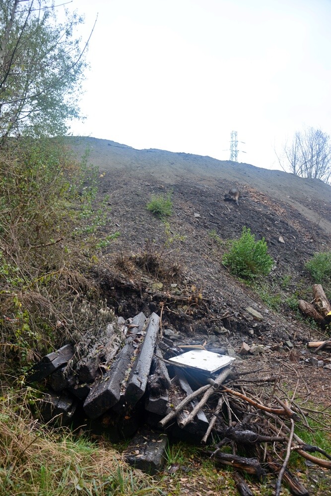 Płonąca hałda w Rudzie Śląskiej. / fot. Jacek Knapik