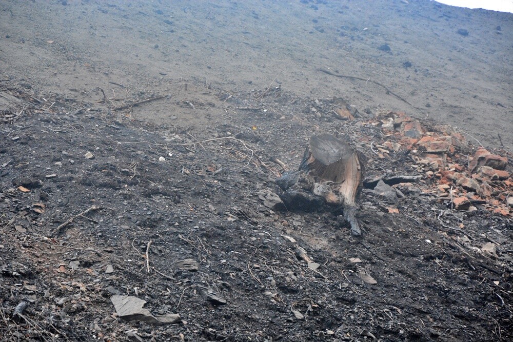 Płonąca hałda w Rudzie Śląskiej. / fot. Jacek Knapik