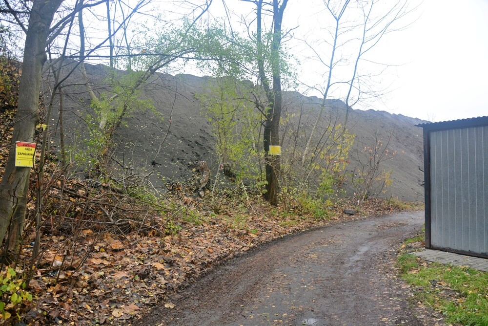 Płonąca hałda w Rudzie Śląskiej. / fot. Jacek Knapik