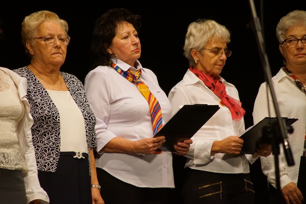 Projektu "Pokolenia" stanowi kontynuację działań prowadzonych przez MCK na rzecz Seniorów sprzed roku. Ma na celu włączenie do aktywności kulturalnej osób starszych oraz młodzieży w wieku 18-25 lat. W ramach projektu odbywały się bezpłatne zajęcia rozwijające zainteresowania Seniorów dotyczące tańca, plastyki i teatru.