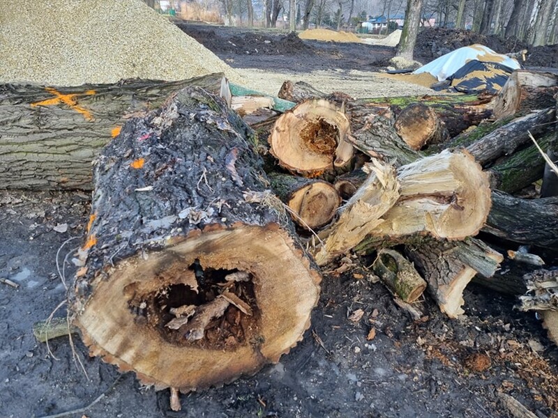 Postępują prace modernizacyjne Parku Dworskiego w Nowym Bytomiu [ZDJĘCIA]