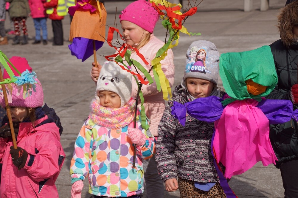 Przedszkolaki z różnych rudzkich przedszkoli przywitały dzisiaj wiosnę na nowobytomskim rynku. Dzieci przygotowały papierowe kwiaty, które rozdawały rano mieszkańcom Rudy Śląskiej. Przemaszerowały wraz z opiekunami w kolorowym pochodzie głośno nawołując wiosnę.