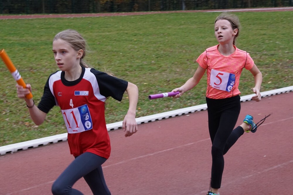 Około 600 młodych zawodników ze szkół podstawowych i ponadpodstawowych wystartowało w Finale Wojewódzkim Sztafetowych Biegów Przełajowych. Na bieżni Szkoły Podstawowej nr 15 Sportowej w Halembie nie brakowało wielu emocji.