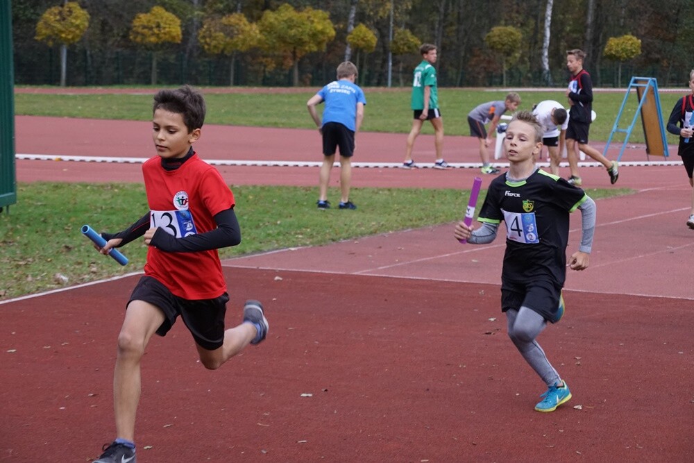 Około 600 młodych zawodników ze szkół podstawowych i ponadpodstawowych wystartowało w Finale Wojewódzkim Sztafetowych Biegów Przełajowych. Na bieżni Szkoły Podstawowej nr 15 Sportowej w Halembie nie brakowało wielu emocji.