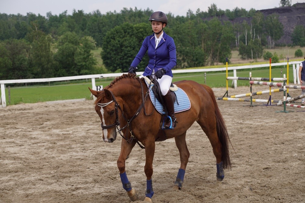 Sportowy Klub Jeździecki OMEGA w Rudzie Śląskiej zorganizował dzisiaj kolejną wiosenną edycję zawodów jeździeckich Puchar Omegi.