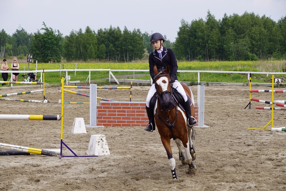 Sportowy Klub Jeździecki OMEGA w Rudzie Śląskiej zorganizował dzisiaj kolejną wiosenną edycję zawodów jeździeckich Puchar Omegi.