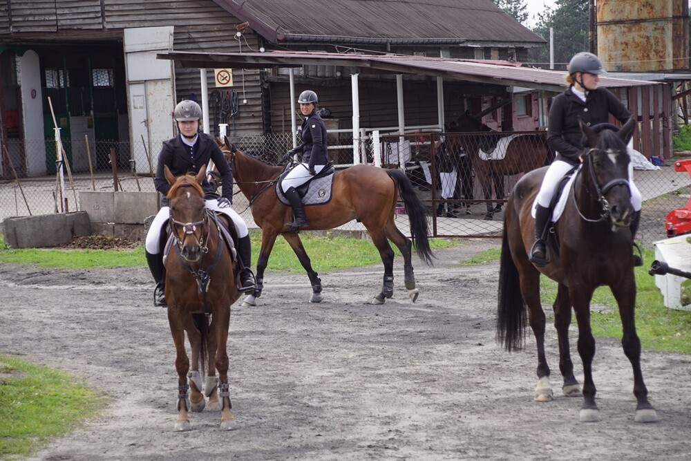 Sportowy Klub Jeździecki OMEGA w Rudzie Śląskiej zorganizował dzisiaj kolejną wiosenną edycję zawodów jeździeckich Puchar Omegi.