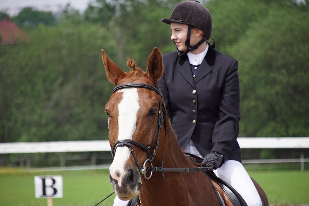 Sportowy Klub Jeździecki OMEGA w Rudzie Śląskiej zorganizował dzisiaj kolejną wiosenną edycję zawodów jeździeckich Puchar Omegi.