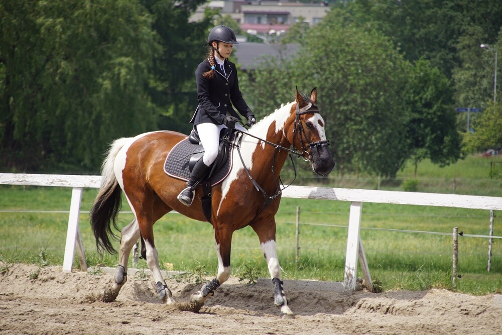 Sportowy Klub Jeździecki OMEGA w Rudzie Śląskiej zorganizował dzisiaj kolejną wiosenną edycję zawodów jeździeckich Puchar Omegi.