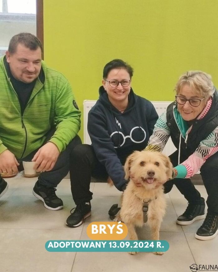 Rekordowy tydzień adopcji w Faunie!/fot. TOZ Fauna