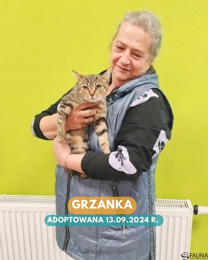 Rekordowy tydzień adopcji w Faunie!/fot. TOZ Fauna