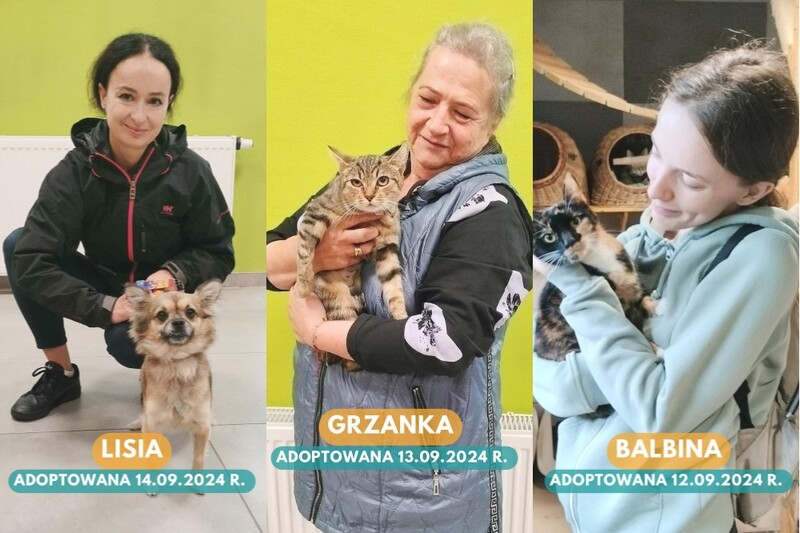 Rekordowy tydzień w „Faunie”! 14 zwierzaków znalazło kochające domy!