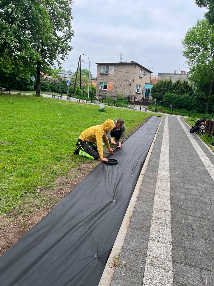 W ubiegły czwartek planty w Kochłowicach tłumnie odwiedzili miłośnicy roślin. Obsadzili rozmaitymi gatunkami kwiatów parkowe alejki.

fot. Rafał Wypior