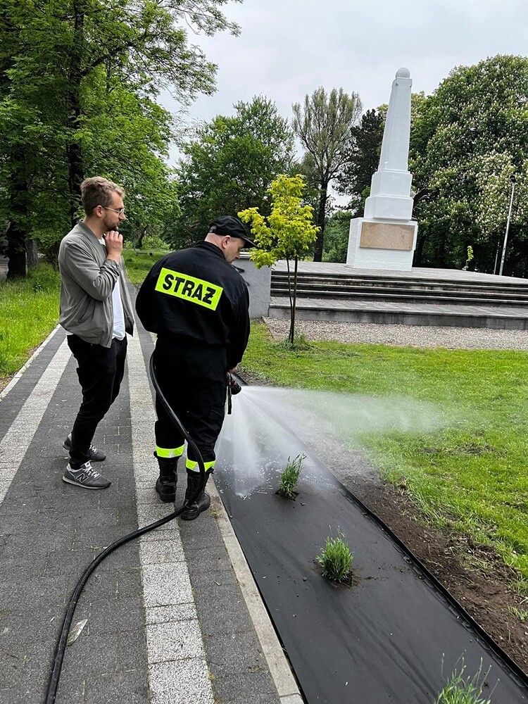 W ubiegły czwartek planty w Kochłowicach tłumnie odwiedzili miłośnicy roślin. Obsadzili rozmaitymi gatunkami kwiatów parkowe alejki.

fot. Rafał Wypior