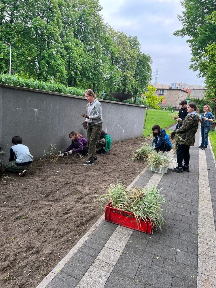 W ubiegły czwartek planty w Kochłowicach tłumnie odwiedzili miłośnicy roślin. Obsadzili rozmaitymi gatunkami kwiatów parkowe alejki.

fot. Rafał Wypior
