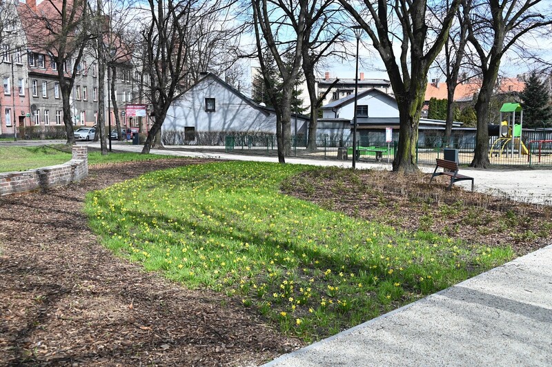 Ruda Śląska: Park Młodzieży i orzegowskie planty odzyskały swój blask!
