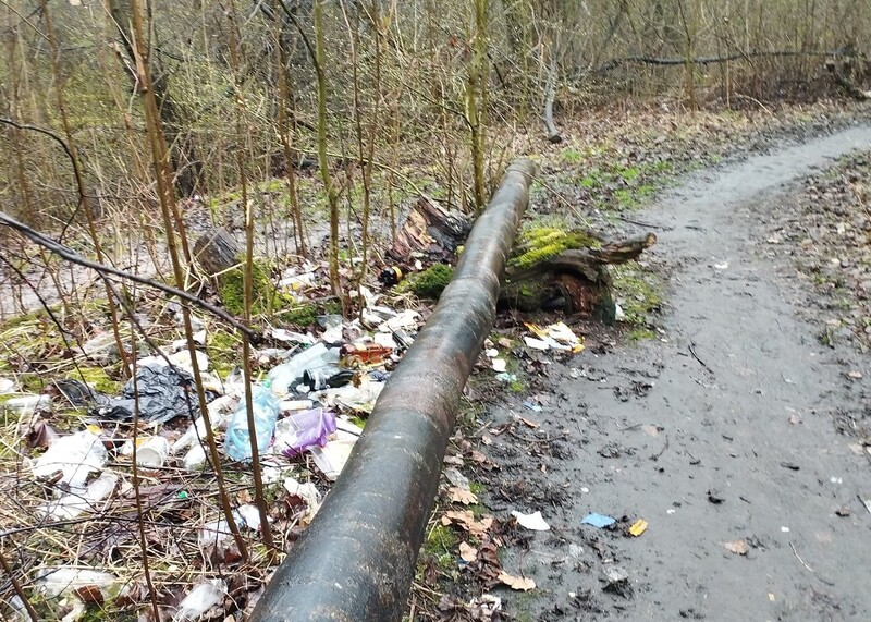 Ruda Śląska: Puszcza Kokotek została zaśmiecona. Teren ten w końcu zostanie uprzątnięty