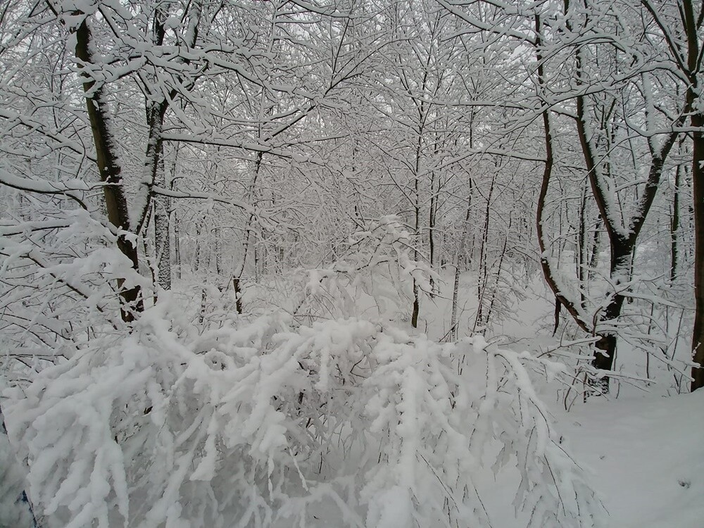 Ruda Śląska w zimowej odsłonie.