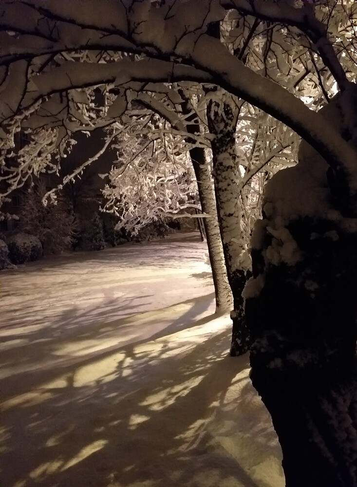 Ruda Śląska w zimowej odsłonie.