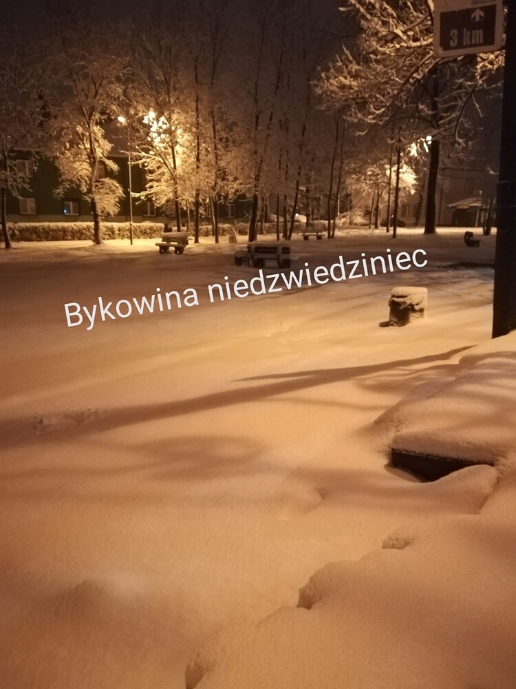 Ruda Śląska w zimowej odsłonie.