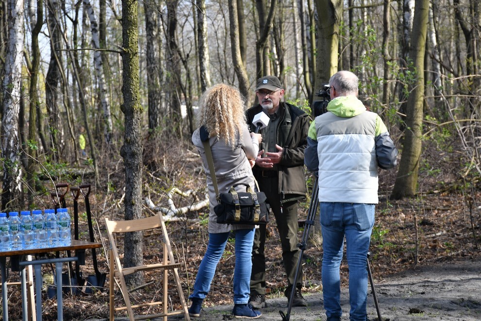 W sobotę, 15 kwietnia, w Rudzie Śląskiej- Halembie zorganizowano akcję „Posadź drzewko z Nadleśnictwem Katowice”. W rejonie halembskiej „Polany” przy ul. Konstantego Ildefonsa Gałczyńskiego posadzono aż 850 sadzonek. Zobaczcie, jak przebiegała akcja!