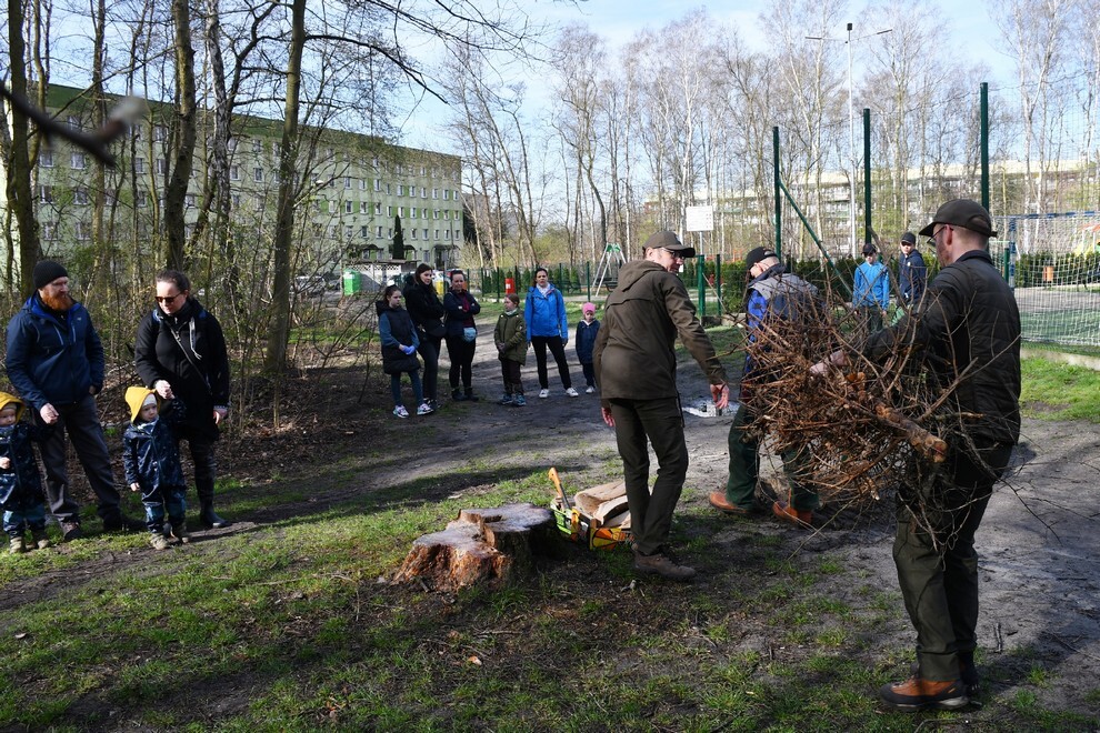 W sobotę, 15 kwietnia, w Rudzie Śląskiej- Halembie zorganizowano akcję „Posadź drzewko z Nadleśnictwem Katowice”. W rejonie halembskiej „Polany” przy ul. Konstantego Ildefonsa Gałczyńskiego posadzono aż 850 sadzonek. Zobaczcie, jak przebiegała akcja!