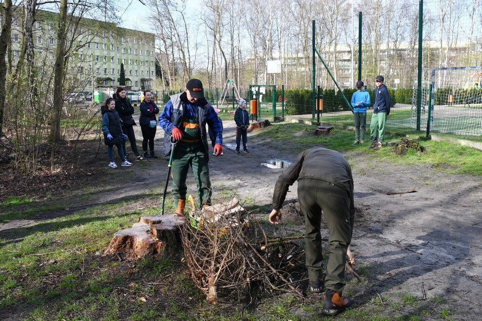 W sobotę, 15 kwietnia, w Rudzie Śląskiej- Halembie zorganizowano akcję „Posadź drzewko z Nadleśnictwem Katowice”. W rejonie halembskiej „Polany” przy ul. Konstantego Ildefonsa Gałczyńskiego posadzono aż 850 sadzonek. Zobaczcie, jak przebiegała akcja!
