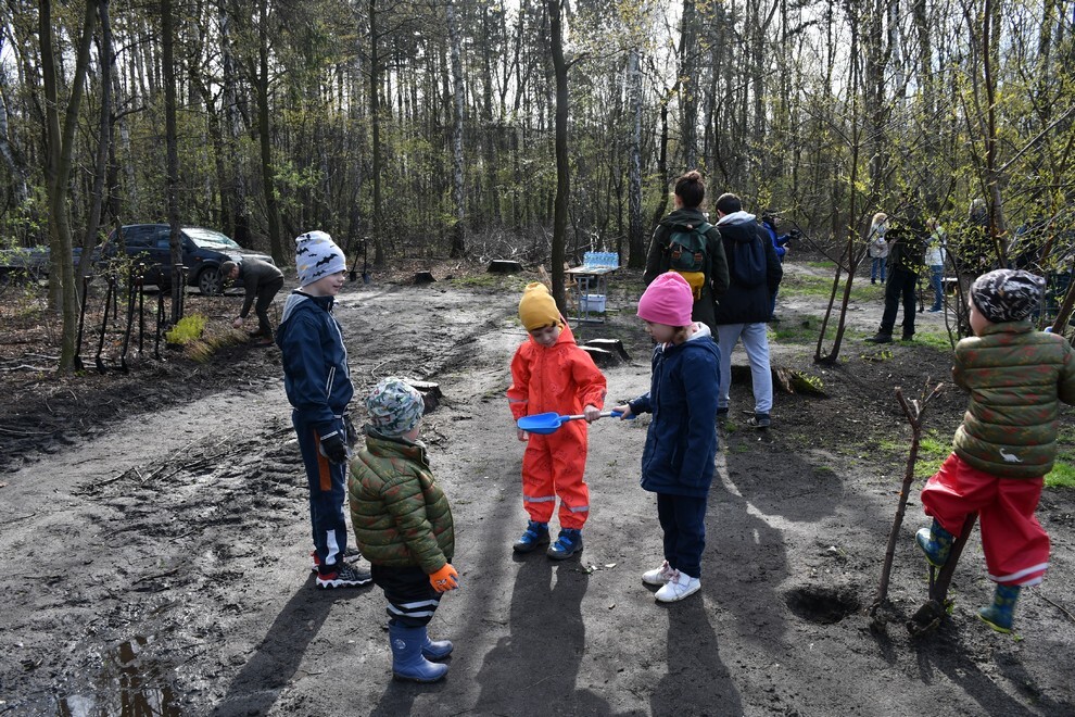 W sobotę, 15 kwietnia, w Rudzie Śląskiej- Halembie zorganizowano akcję „Posadź drzewko z Nadleśnictwem Katowice”. W rejonie halembskiej „Polany” przy ul. Konstantego Ildefonsa Gałczyńskiego posadzono aż 850 sadzonek. Zobaczcie, jak przebiegała akcja!