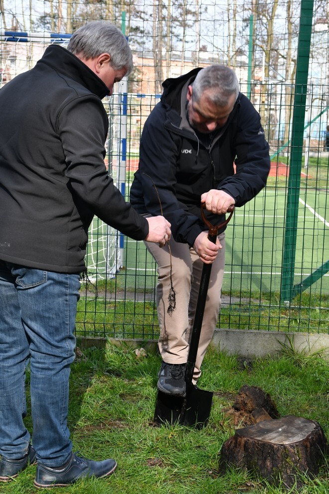 W sobotę, 15 kwietnia, w Rudzie Śląskiej- Halembie zorganizowano akcję „Posadź drzewko z Nadleśnictwem Katowice”. W rejonie halembskiej „Polany” przy ul. Konstantego Ildefonsa Gałczyńskiego posadzono aż 850 sadzonek. Zobaczcie, jak przebiegała akcja!
