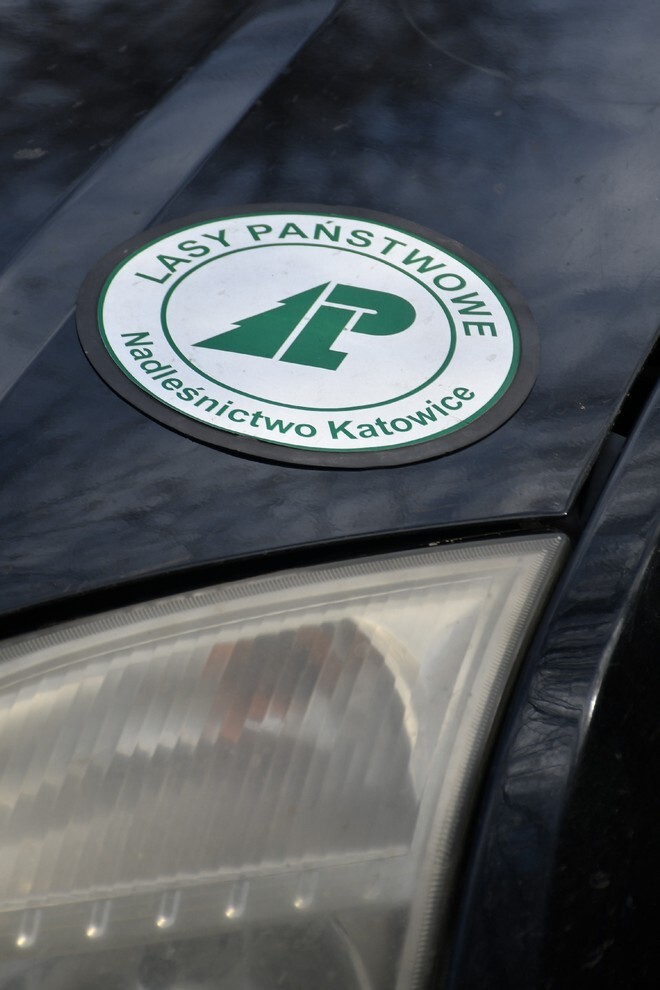 W sobotę, 15 kwietnia, w Rudzie Śląskiej- Halembie zorganizowano akcję „Posadź drzewko z Nadleśnictwem Katowice”. W rejonie halembskiej „Polany” przy ul. Konstantego Ildefonsa Gałczyńskiego posadzono aż 850 sadzonek. Zobaczcie, jak przebiegała akcja!