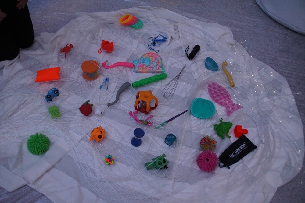 Szkoła Podstawowa nr 12 Specjalna im. św. Łukasza w Rudzie Śląskiej wzbogaciła się o nową przestrzeń. W wireckiej placówce dzisiaj oficjalnie otwarta została Sala Doświadczania Świata, która będzie służyła do terapii dzieci i młodzieży z niepełnosprawnościami.