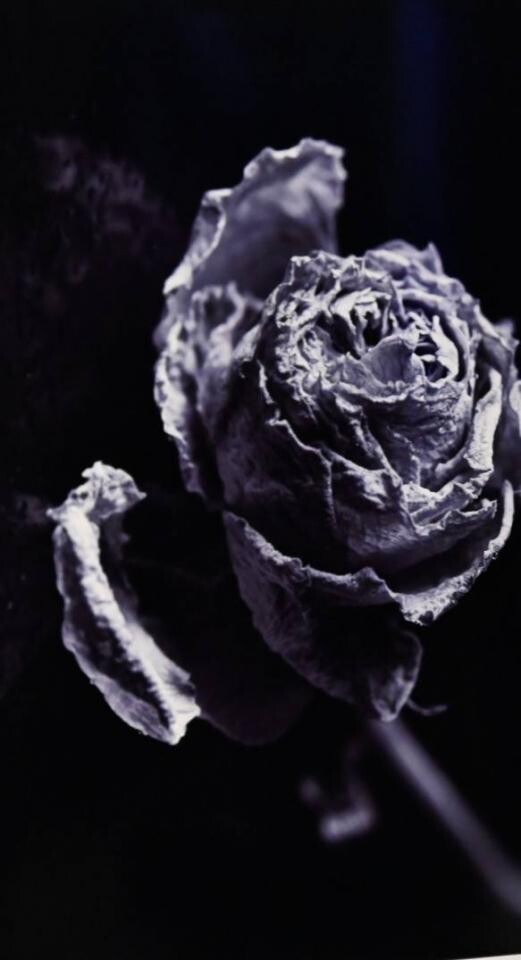 W Stacji Biblioteka odbył się wernisaż wystawy pokonkursowej „Sercem Malowane” z pracami uczniów ZS nr 5.