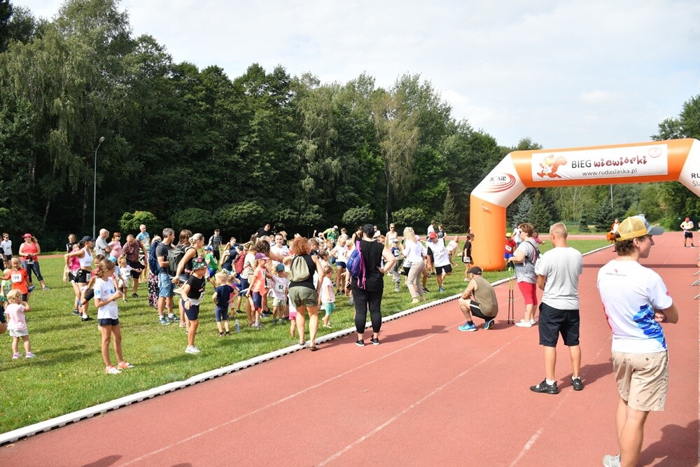Sierpniowy "Bieg Wiewiórki" za nami. Biegacze i miłośnicy nordic walking po raz kolejny mieli okazję wziąć udział w tym popularnym biegu.

fot. Jacek Knapik