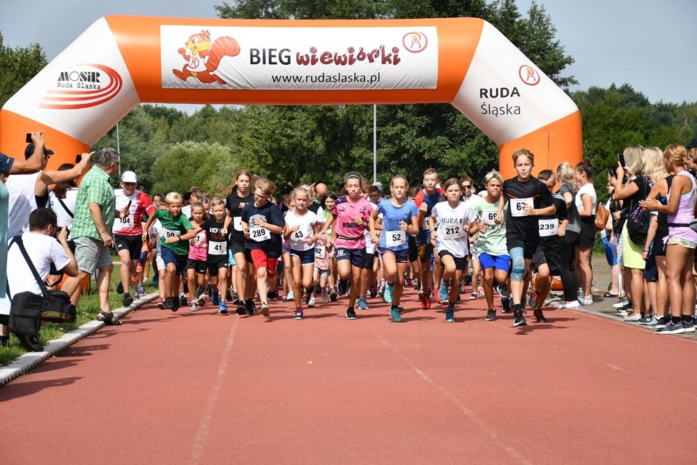 Sierpniowy "Bieg Wiewiórki" za nami. Biegacze i miłośnicy nordic walking po raz kolejny mieli okazję wziąć udział w tym popularnym biegu.

fot. Jacek Knapik