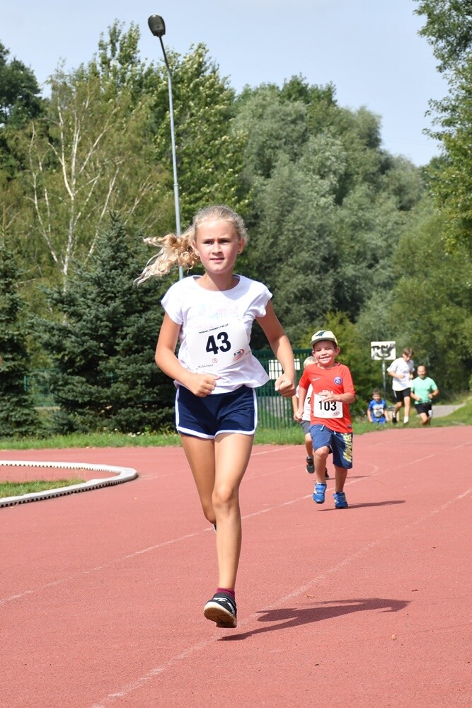 Sierpniowy "Bieg Wiewiórki" za nami. Biegacze i miłośnicy nordic walking po raz kolejny mieli okazję wziąć udział w tym popularnym biegu.

fot. Jacek Knapik