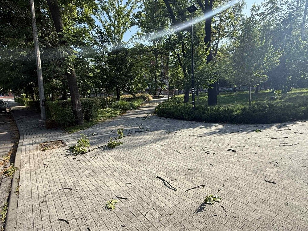 Skutki burzy w Rudzie Śląskiej. / fot. PSP Ruda Śląska / Czytelnicy