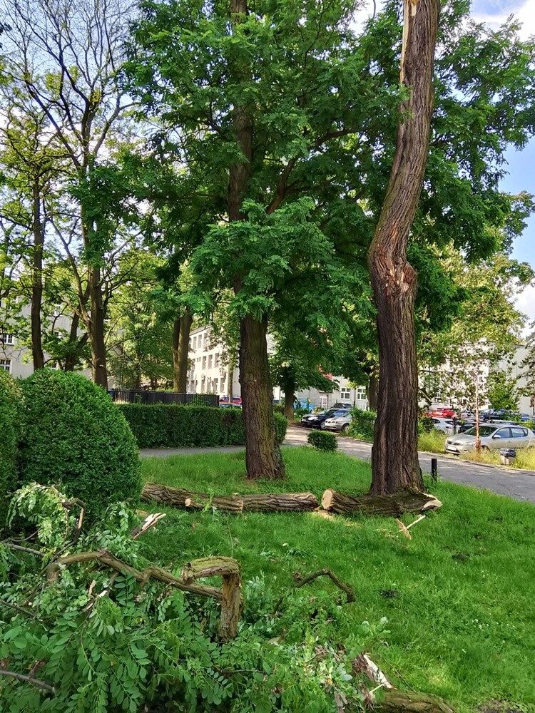 Skutki burzy w Rudzie Śląskiej.
