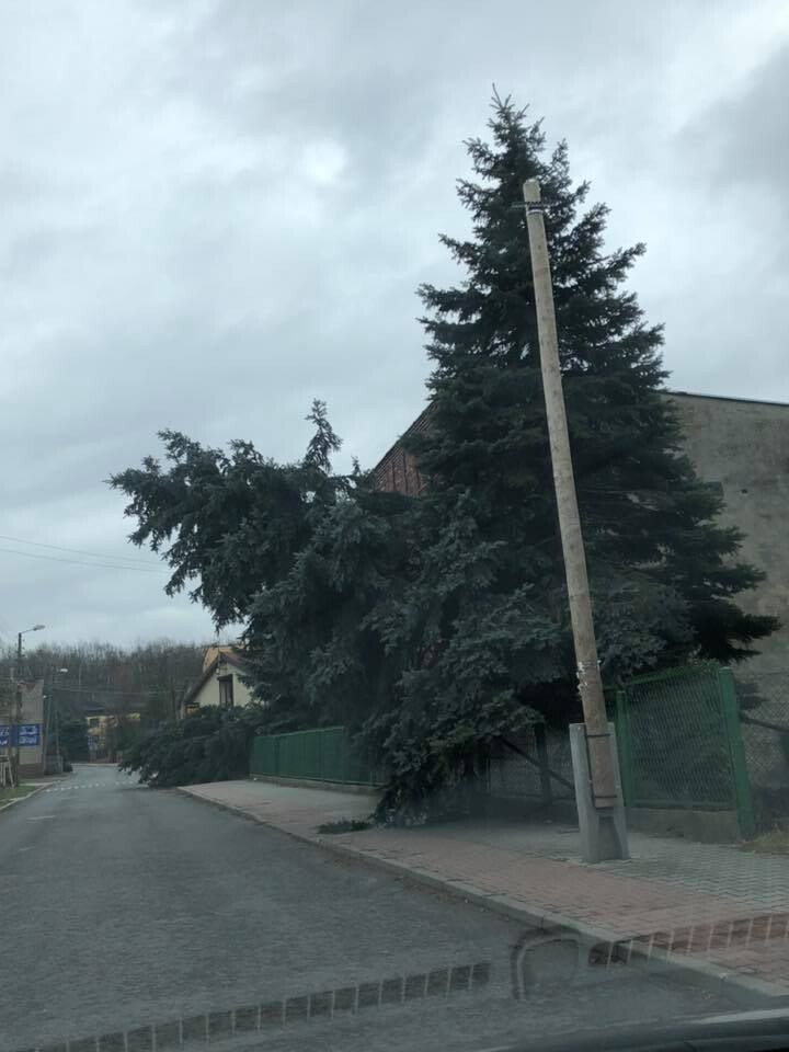 fot: FB Halemba - dzielnica miasta Ruda Śląska / Uszkodzone budynki i samochody, połamane drzewa, zerwane kable, odcięty prąd i mnóstwo interwencji straży pożarnej  - wichura, która przetoczyła się przez Polskę również na Śląsku spowodowała duże straty. Wiatr pędził z prędkością przekraczającą nawet 100 km/h!