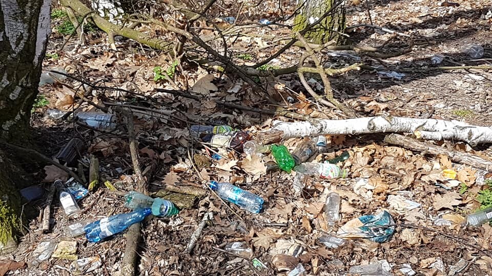 W sobotę (23.03) z parkingu przy sklepie Biedronka (ul. Leśna) w Halebie kilkanaście osób uzbrojonych w rękawiczki i worki wyruszyło leśnymi ścieżkami, aby zebrać jak najwięcej porozrzucanych w lesie śmieci. 