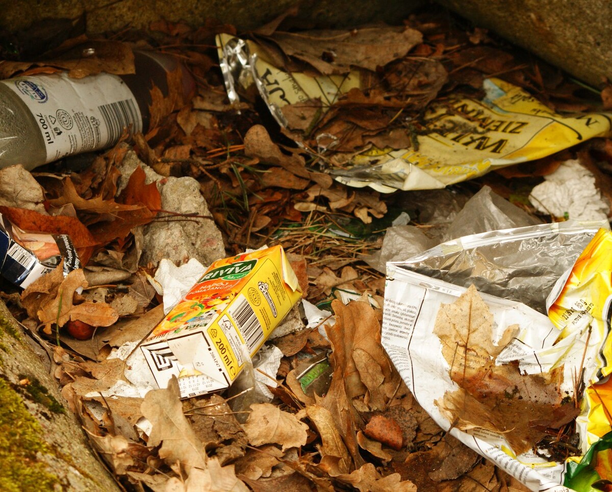 W akcji udział wzięło kilkunastu mieszkańców Rudy Śląskiej.