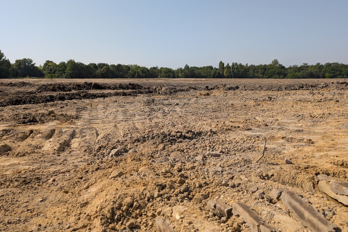 Rekultywacja zapożarowanego terenu przy ul. Bukowej zakończona. / fot. SRK