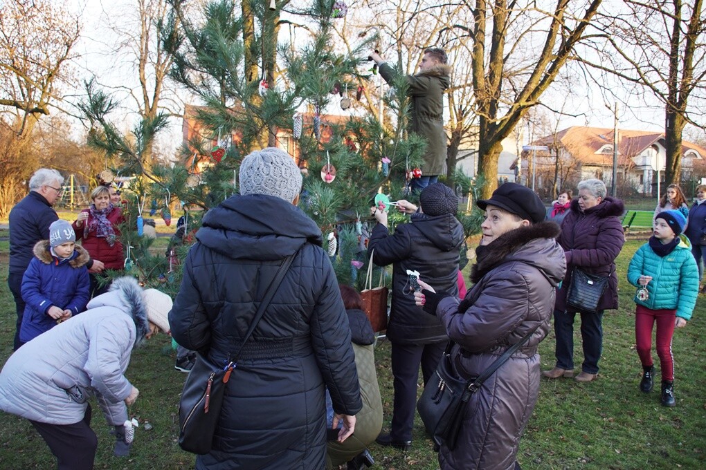 W Kochłowicach czuć już świąteczną atmosferę! Z inicjatywy Stowarzyszenia Lepsze Kochłowice. Lepsza Ruda Śląska i Fundacji Aktywni My na kochłowickich plantach, w rodzinnej atmosferze, mieszkańcy miasta ubierali świąteczne drzewko.