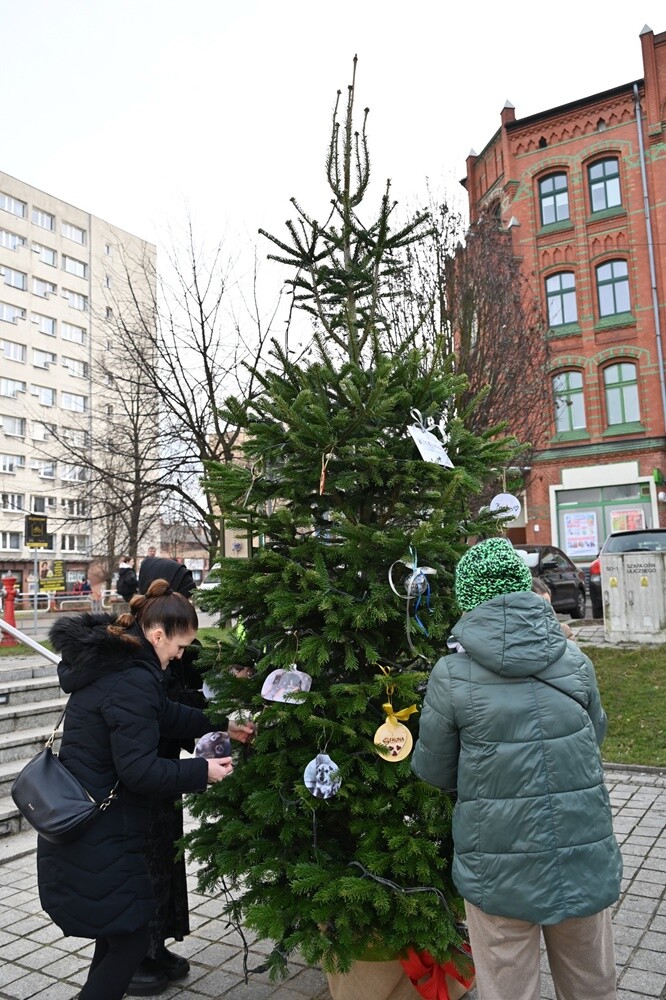 Na rudzkim rynku pojawiło się  „Świąteczne Drzewko Wspomnień o Naszych Pupilach”. / fot. UM Ruda Śląska