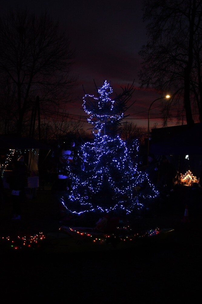Spotkanie przy Kochłowickim Wigilijnym Stole, Wioska Mikołaja, alpaki i ubieranie choinki - za nami "Świąteczne Kochłowice". / fot. Jacek Knapik