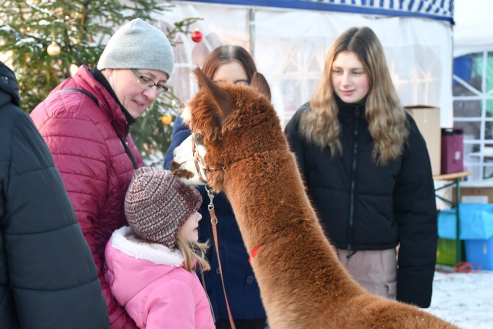 Spotkanie przy Kochłowickim Wigilijnym Stole, Wioska Mikołaja, alpaki i ubieranie choinki - za nami "Świąteczne Kochłowice". Przez cały weekend na mieszkańców Kochłowic czekała masa świątecznych atrakcji! 

fot. Jacek Knapik