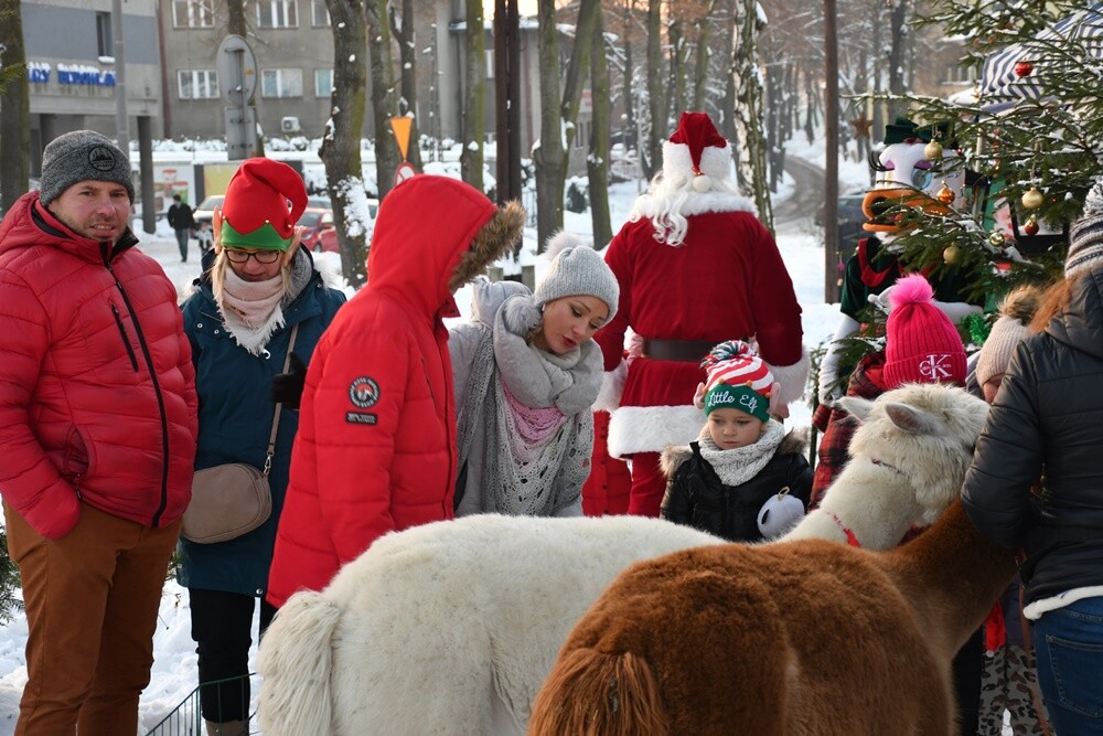 Spotkanie przy Kochłowickim Wigilijnym Stole, Wioska Mikołaja, alpaki i ubieranie choinki - za nami "Świąteczne Kochłowice". Przez cały weekend na mieszkańców Kochłowic czekała masa świątecznych atrakcji! 

fot. Jacek Knapik