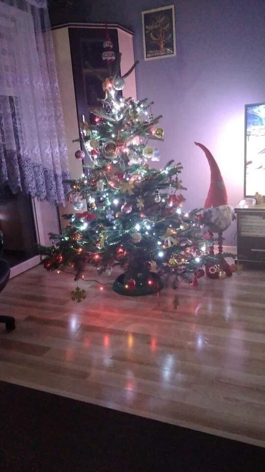 Świąteczny klimat w rudzkich domach. Zdjęcia świątecznych dekoracji naszych czytelników