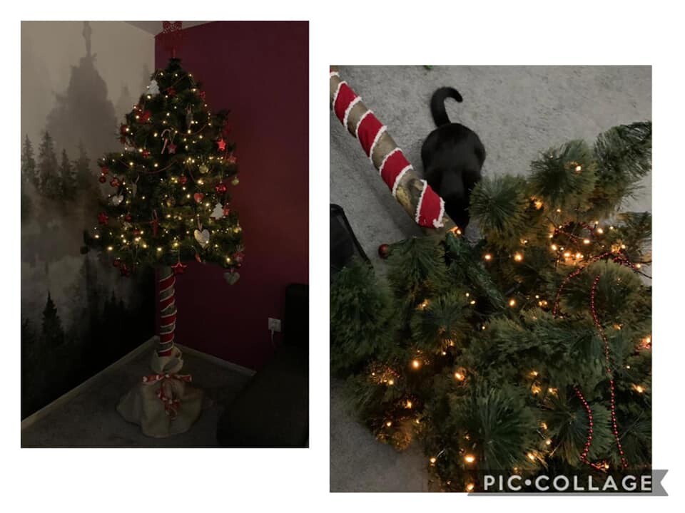 Świąteczny klimat w rudzkich domach. Zdjęcia świątecznych dekoracji naszych czytelników