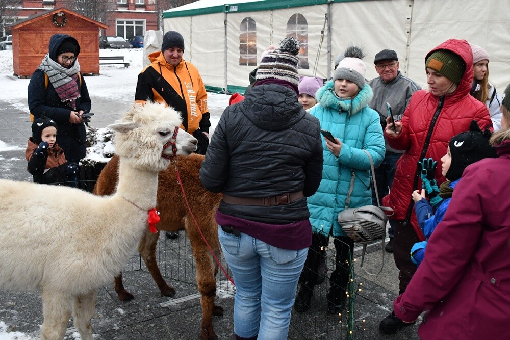 Wawel Truck i Świąteczny Konwój Radia Zet w Rudzie Śląskiej. / fot. Jacek Knapik